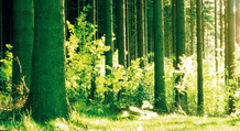  © 2011 Kronotex GmbH & Co. KG