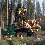 krono 466 Timberjack.jpg
