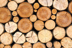 krono Fotolia 9840923 web.jpg