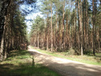 krono 2012 04 28 16.38.58.jpg
