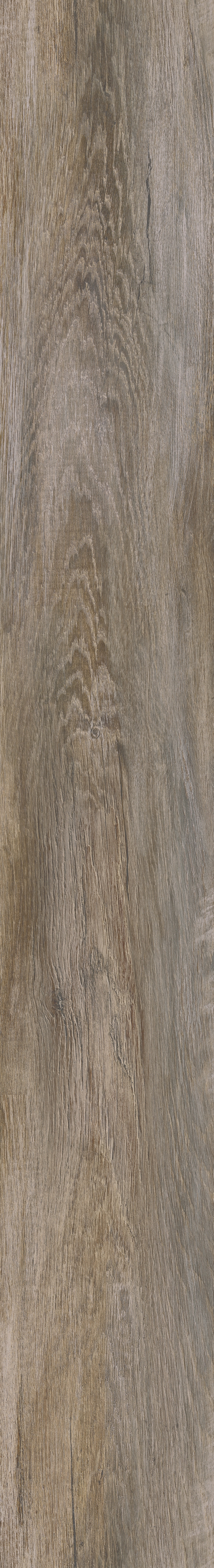 Kronotex Robusto Rustic Oak D 4731 From Picture For